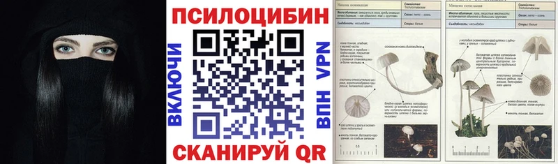 Псилоцибиновые грибы MAGIC MUSHROOMS хочу Зарайск